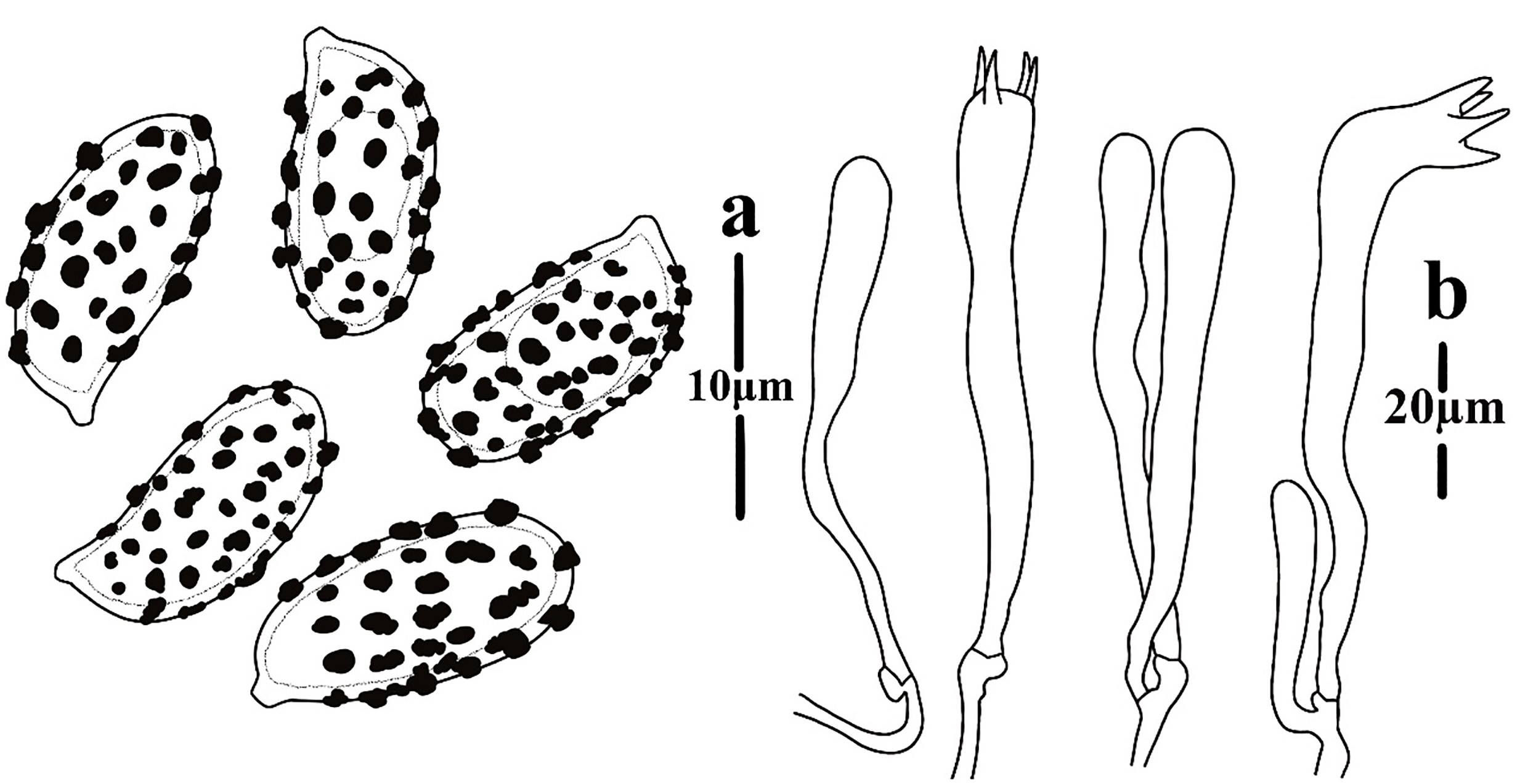 Figure 131